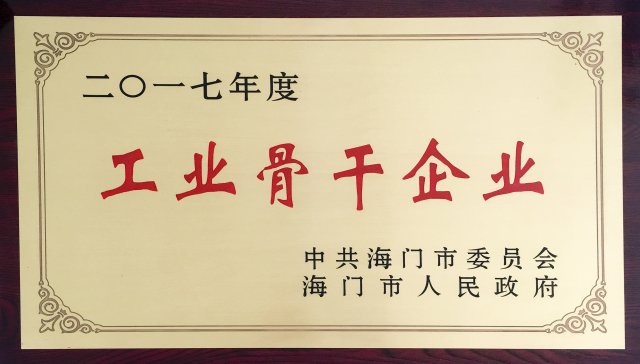 工業(yè)骨干企業(yè)